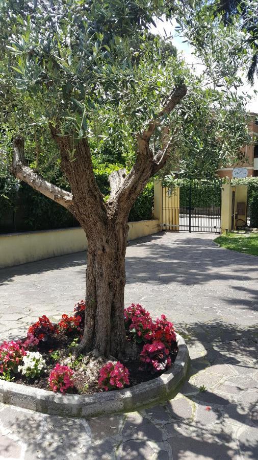 Villa Orsini Roma Ngoại thất bức ảnh